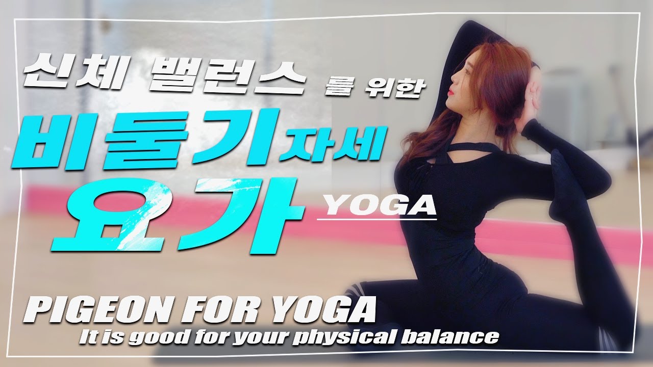 비둘기자세요가