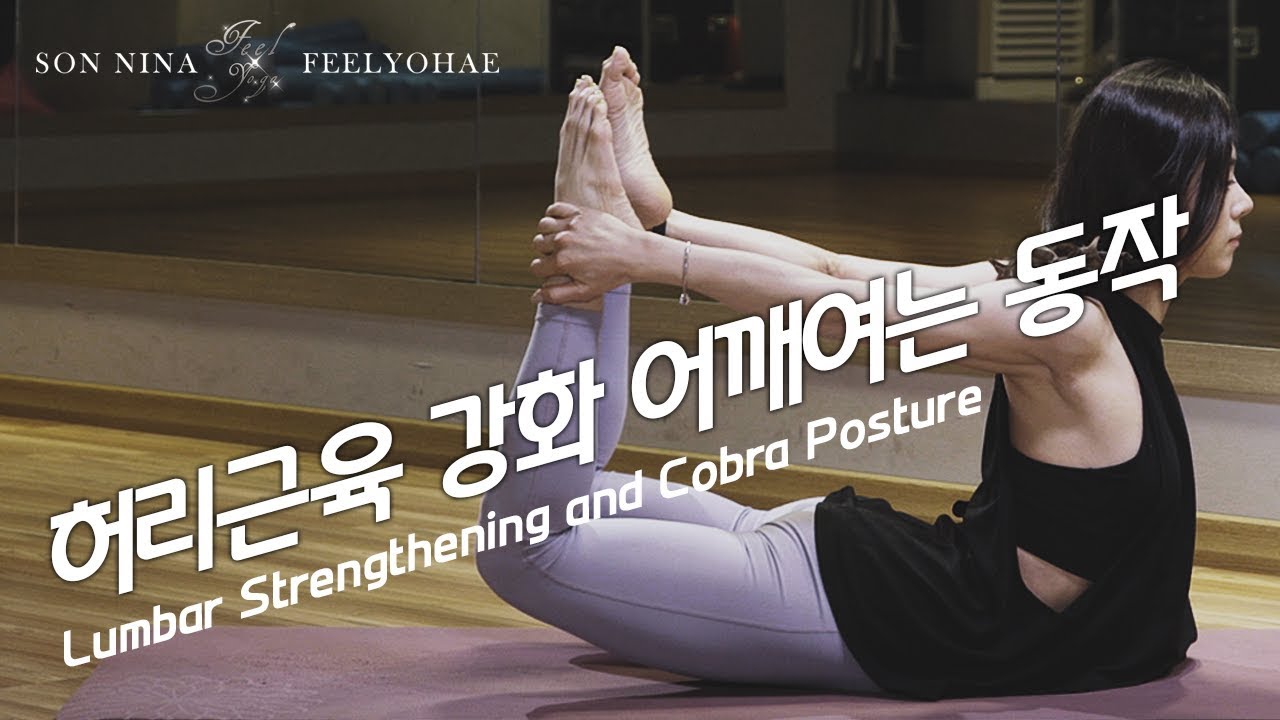 허리근육강화어깨여는동작_자세교정